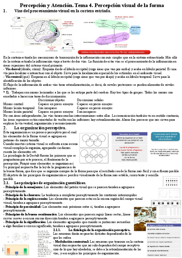 Miniatura del documento Percepcion-y-Atencion.pdf
