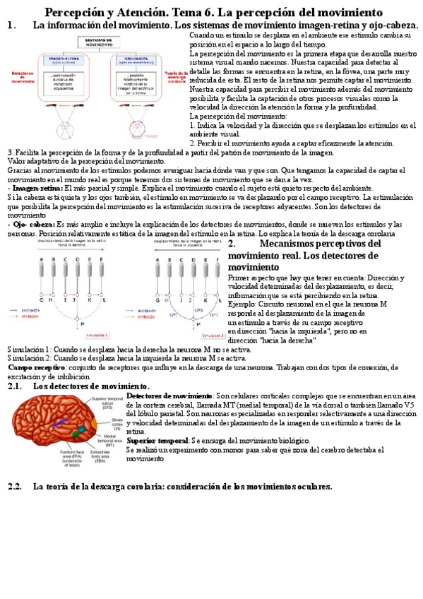 Miniatura del documento Percpcion-y-Atencion.pdf