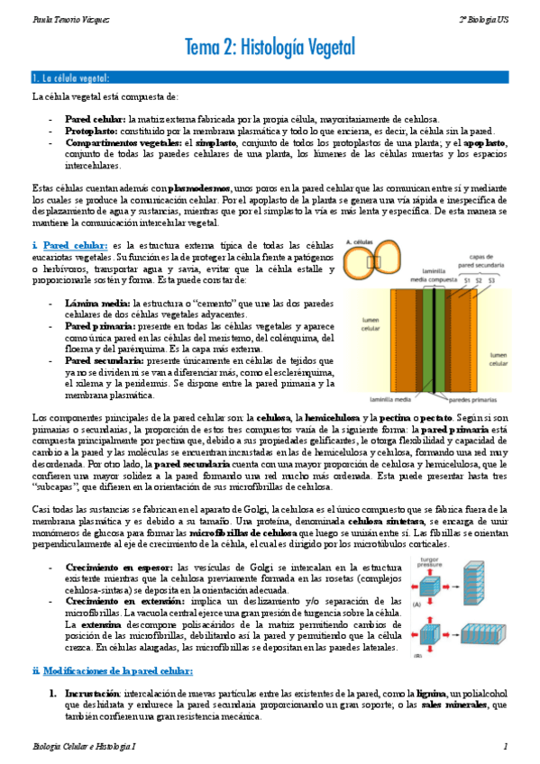 Miniatura del documento Tema-2-BCHI.pdf