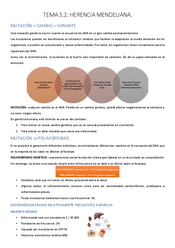 Miniatura del documento UNIDAD-3.pdf