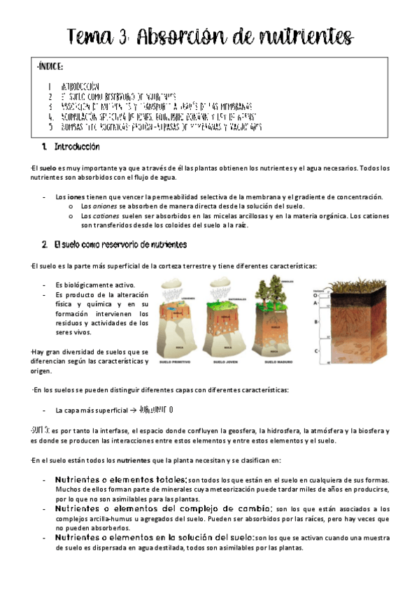 Miniatura del documento Tema-3-fisio-vegetal.pdf