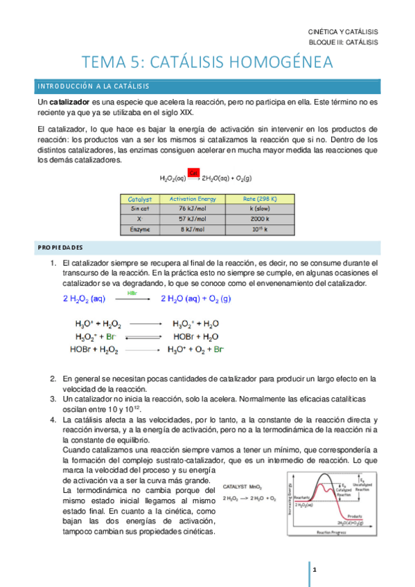 Miniatura del documento TEMA-5.pdf