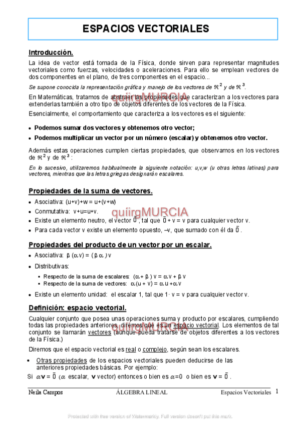 Miniatura del documento espaciosvectoriales1.pdf