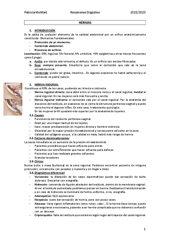 Miniatura del documento Hernias.pdf