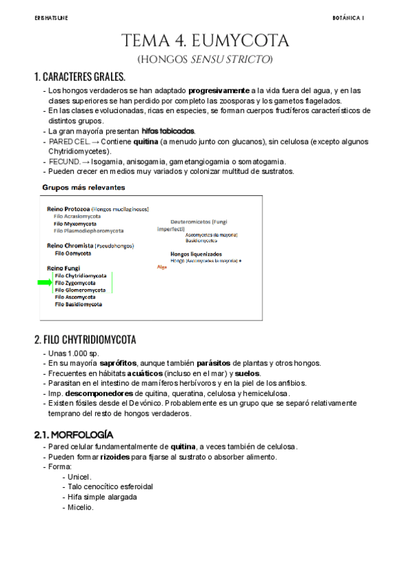 Miniatura del documento Tema-4.pdf