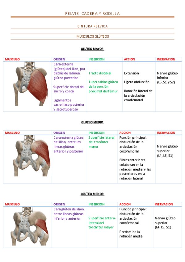 Miniatura del documento Tabla-musculos-mb-inf.pdf
