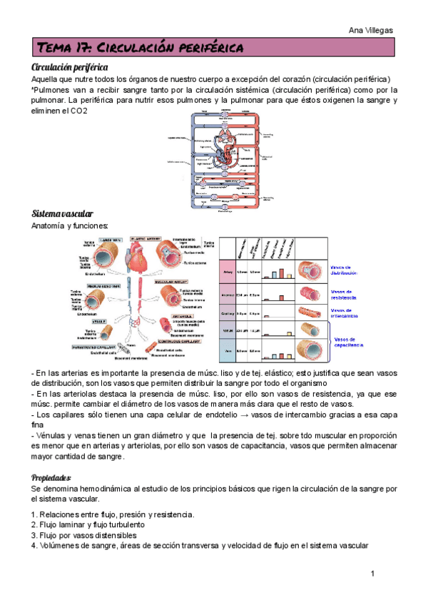 Miniatura del documento TEMA-17.pdf
