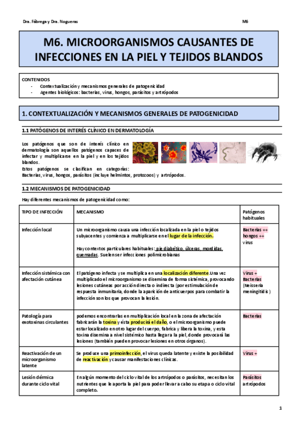 Miniatura del documento M6.pdf
