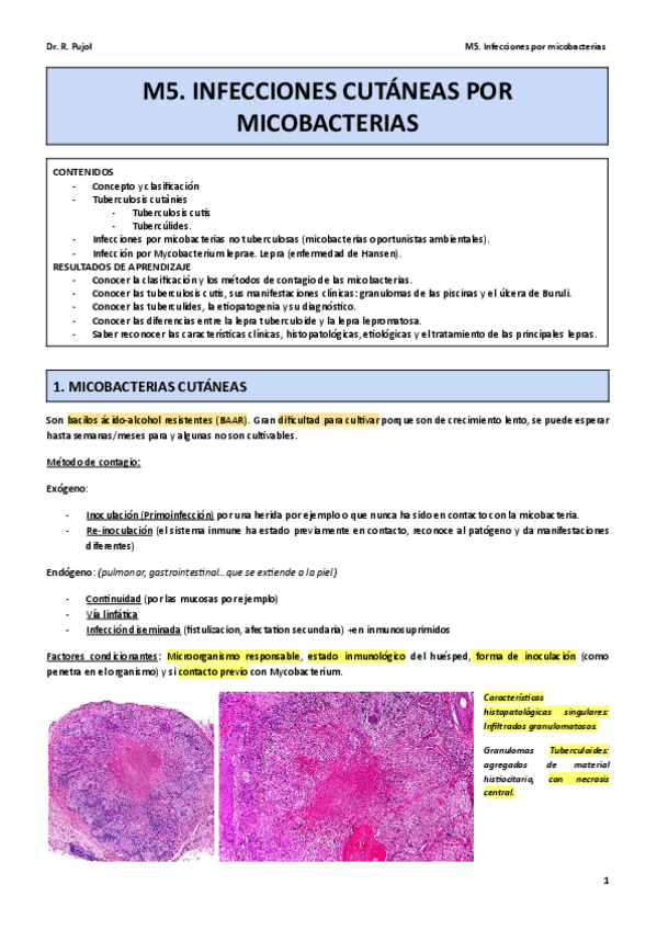 Miniatura del documento M5.pdf