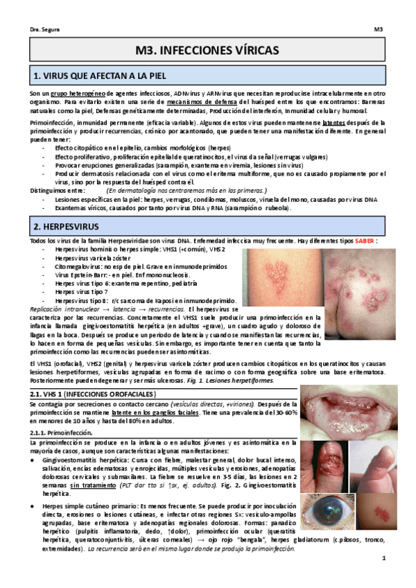 Miniatura del documento M3-eva.pdf