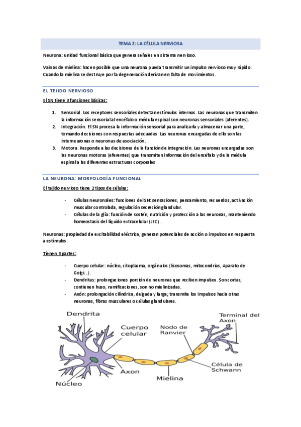 Miniatura del documento TEMA-2-modulo-1.pdf