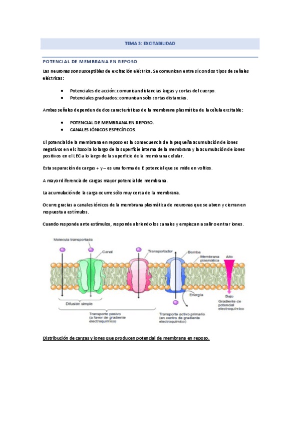 Miniatura del documento TEMA-3-modulo-1.pdf