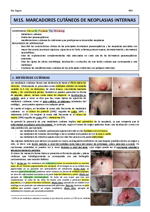 Miniatura del documento M15.pdf