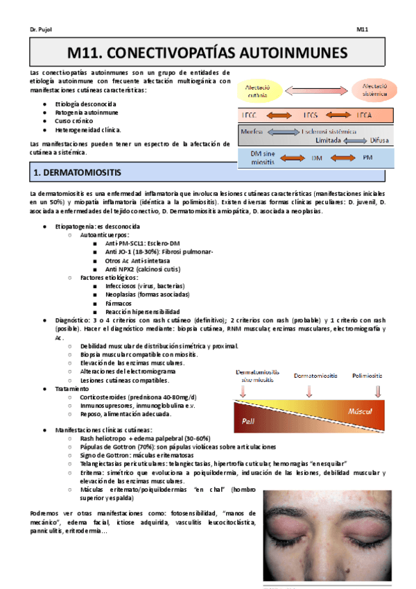 Miniatura del documento M11.pdf