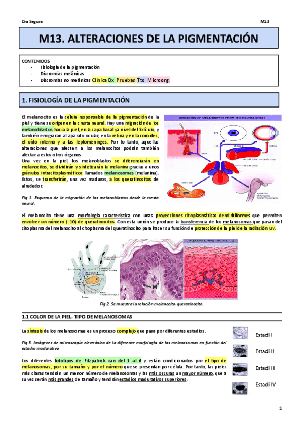 Miniatura del documento M13.pdf
