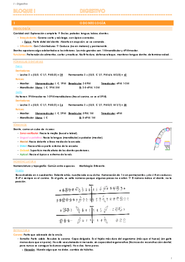 Miniatura del documento 01 Digestivo.pdf