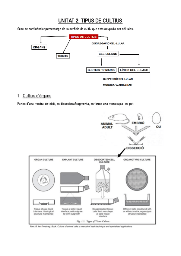 Miniatura del documento UNITAT-2.pdf