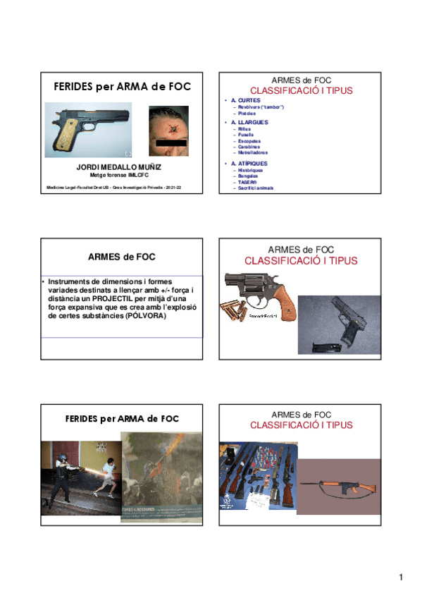 Miniatura del documento ferides-armes-de-foc.pdf