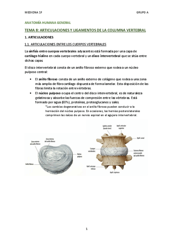 Miniatura del documento TEMA 8 - ARTICULACIONES DE LA COLUMNA VERTEBRAL.pdf