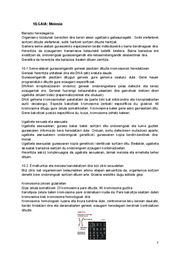 Miniatura del documento 10.pdf