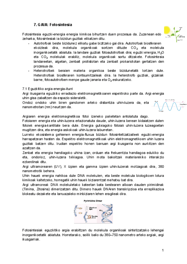 Miniatura del documento 7.pdf