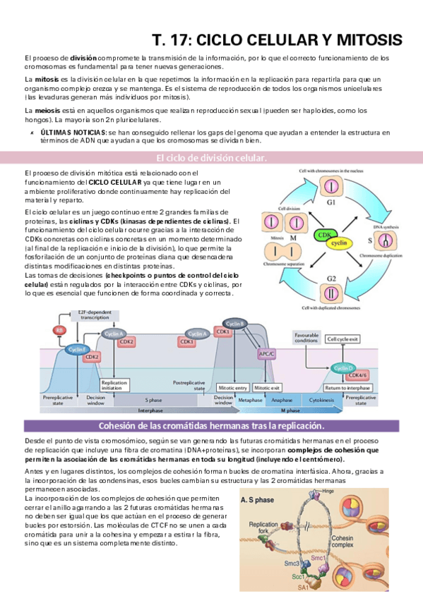 Miniatura del documento TEMA-17.pdf