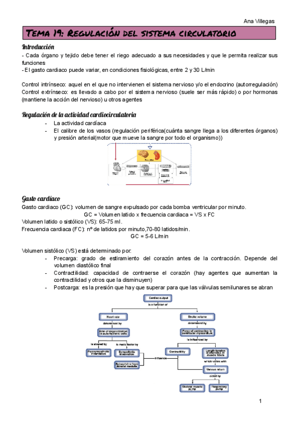 Miniatura del documento TEMA-19.pdf