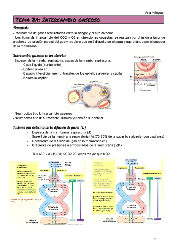Miniatura del documento TEMA-24.pdf