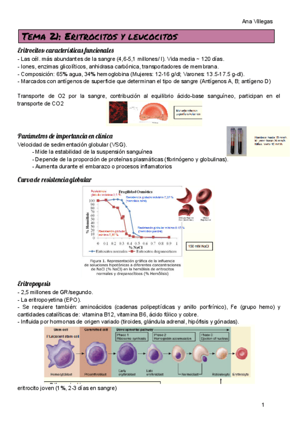 Miniatura del documento TEMA-21.pdf