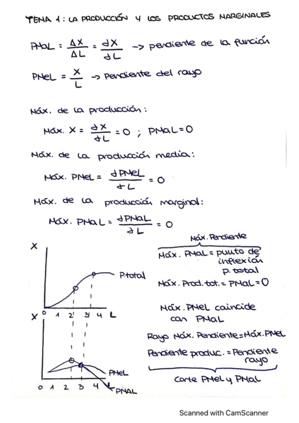 Miniatura del documento Formulas-temas-1-6-micro.pdf