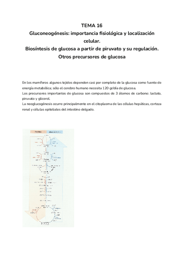 Miniatura del documento TEMA-16.pdf
