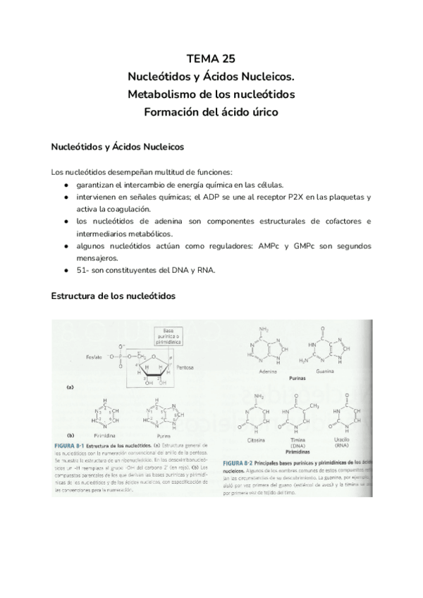Miniatura del documento TEMA-25.pdf