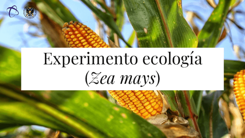 Miniatura del documento Experimento-Ecologia.pdf