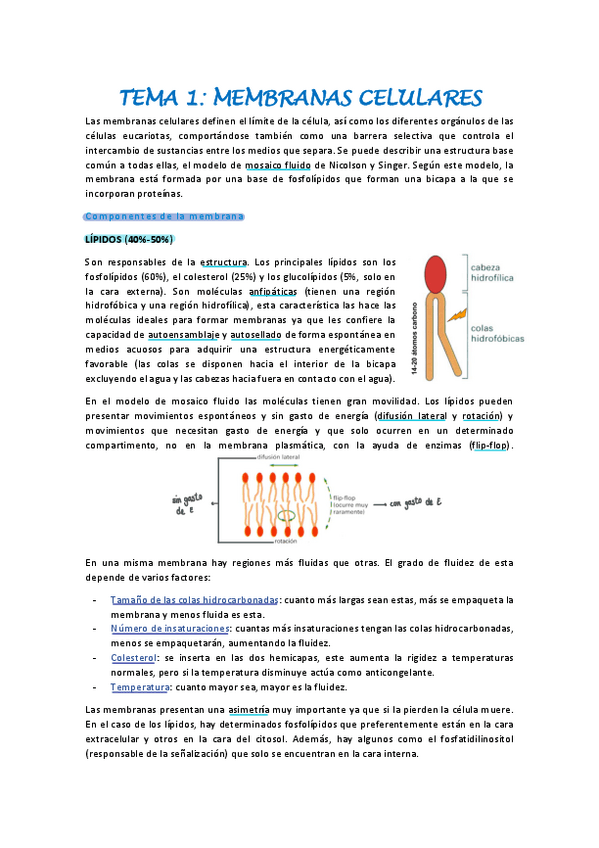 Miniatura del documento biologia-celular-tema-1.pdf