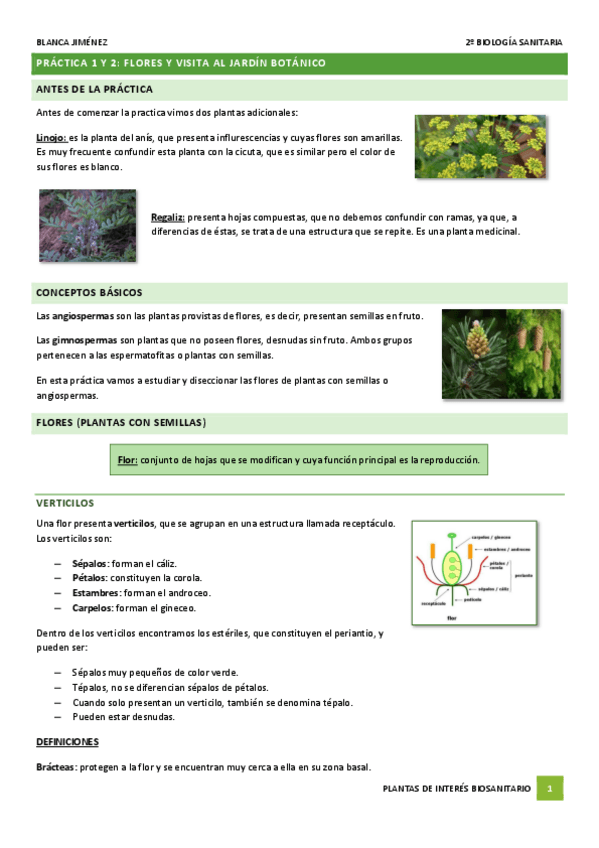 Miniatura del documento PRACTICA-1-FLORES-Y-JARDIN-BOTANICO.pdf