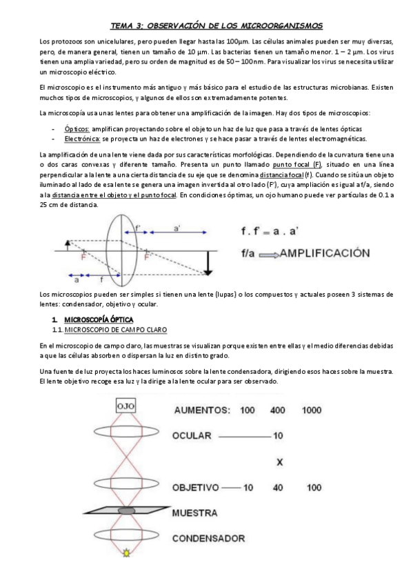 Miniatura del documento TEMA-3.pdf
