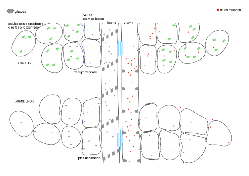 Miniatura del documento BIOLOGIA-PLANTAS.pdf