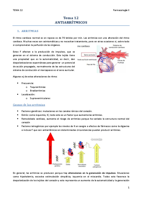 Miniatura del documento TEMA 12.pdf
