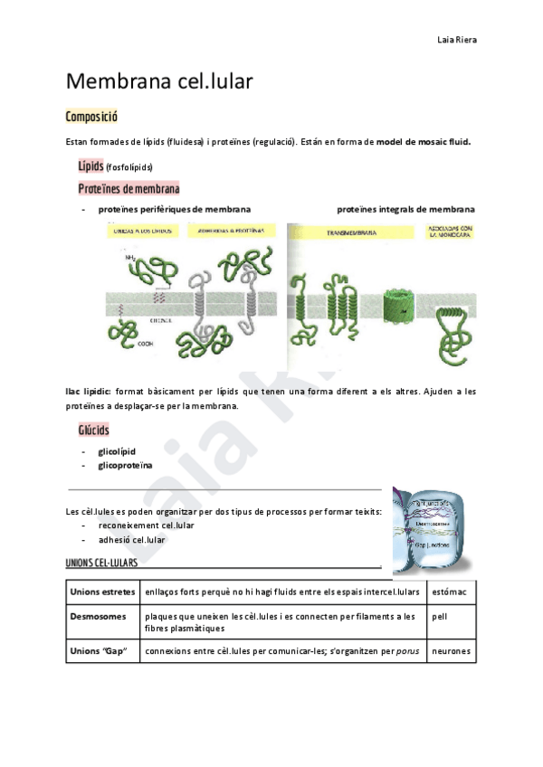 Miniatura del documento membrana-cel.pdf