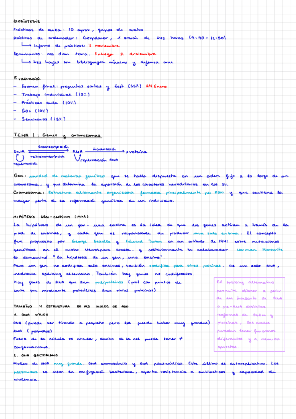 Miniatura del documento Tema-1-biosintesis-.pdf