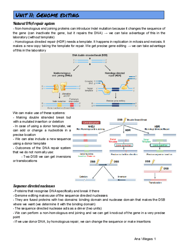 Miniatura del documento UNIT-11.pdf