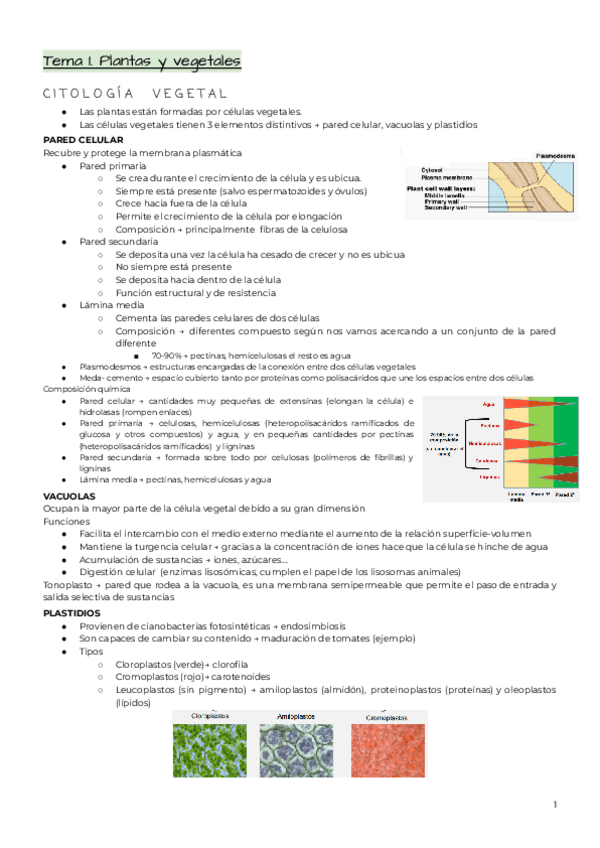 Miniatura del documento Tema-1-2.pdf