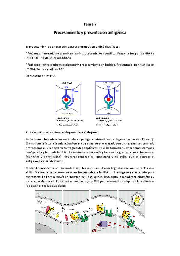 Miniatura del documento Tema 7.pdf