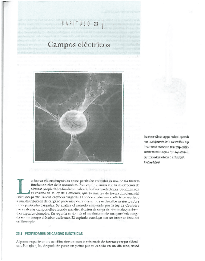 Miniatura del documento Campo electrico- ley de gauss y potencial electrico.pdf