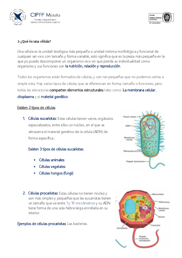 Miniatura del documento EVALUACION-INICIAL-MABEL-KARINA-C-LIBERATO.pdf