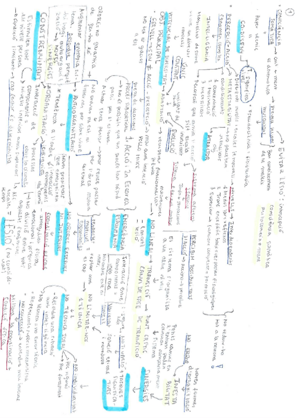 Miniatura del documento esquema-fisio.pdf