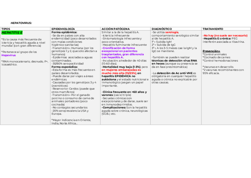 Miniatura del documento HEPATITIS-E-B-C-D-y-VIRUS-TT.pdf