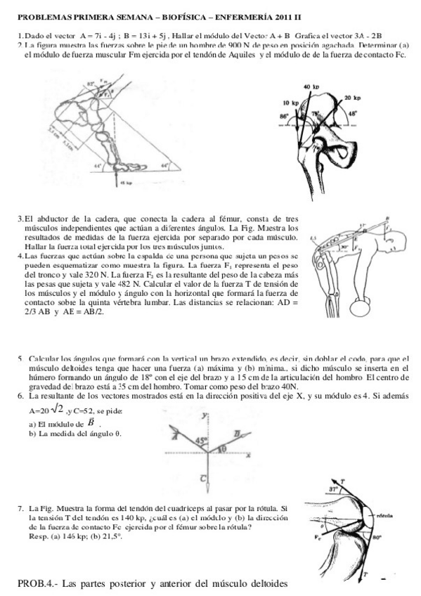 Miniatura del documento Problemas-de-Biomecanica.pdf