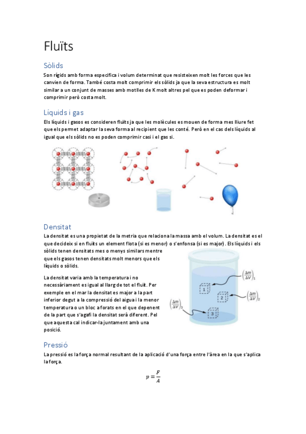 Miniatura del documento 05-Fluits.pdf
