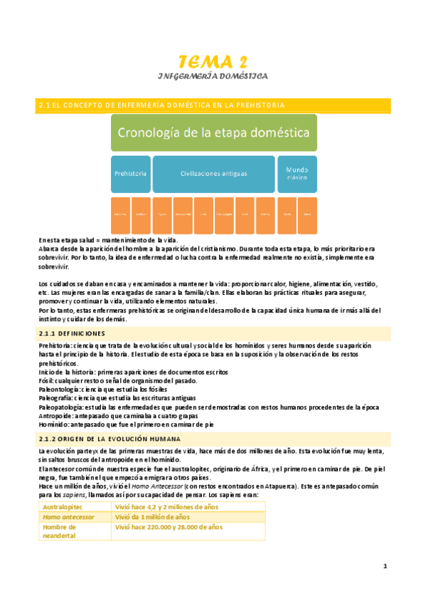 Miniatura del documento Tema-2-enfermeria-domestica.pdf